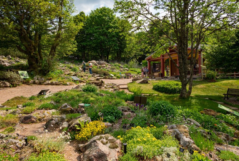 Altitude du Haut Chitelet Garden, Xonrupt-Longemer, France, France